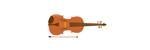 Violon